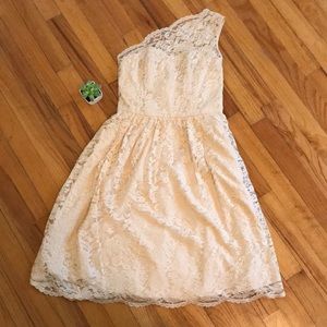 NWOT Teveolio Cream Lace Dress